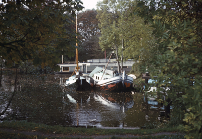 808797 Afbeelding van enkele boten in de Leidsche Rijn te Utrecht, ter hoogte van het Park Oog in Al.